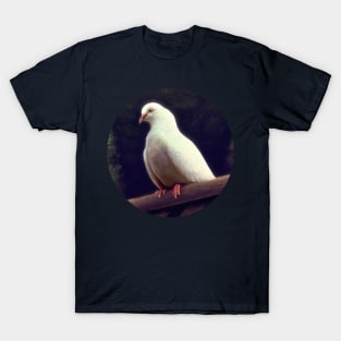 White Pigeon T-Shirt